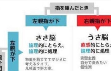 5秒でわかる 世界で最も正確な性格テスト
