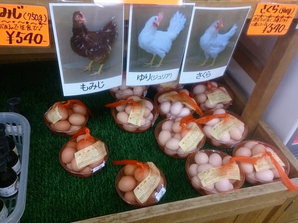スーパーでみつけた面白すぎる値札の誤植＆チラシまとめ：生産者の顔が見えるニワトリの卵