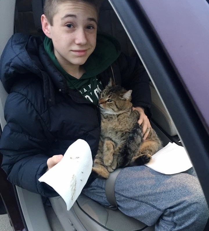 車から放り出された猫を救った少年
