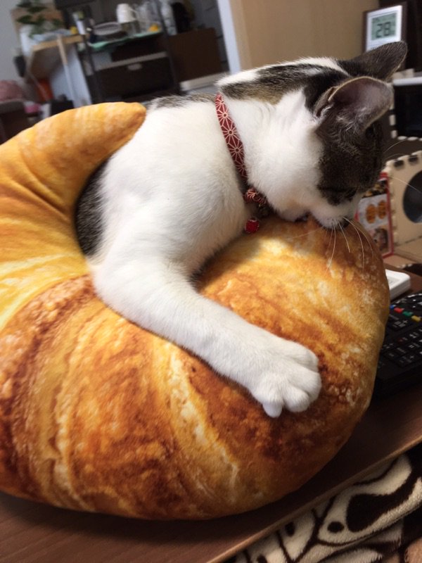 ニトリ　食パン　クッション　クロワッサン　猫　ネコ