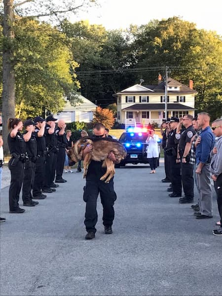 旅立とうとする警察犬に対して最高の敬意をもって接する警官たちを写した１枚の写真