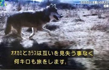 【2chまとめ】ジブリタイトルを組み合わせ ...