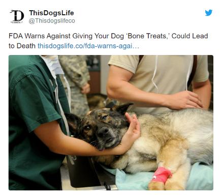 【絶対に与えないでください！】犬のおやつ骨「BONE TREATS（ボーン・トリート）」に有害物質
