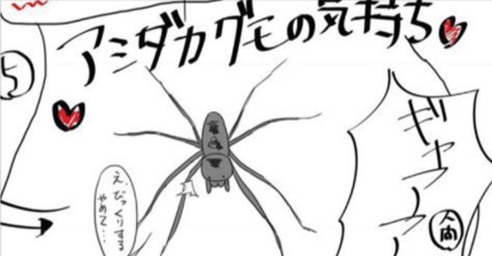 家でたまにみかける巨大な蜘蛛「アシダカグモ」は殺さないで！ゴキブリを全滅させます！