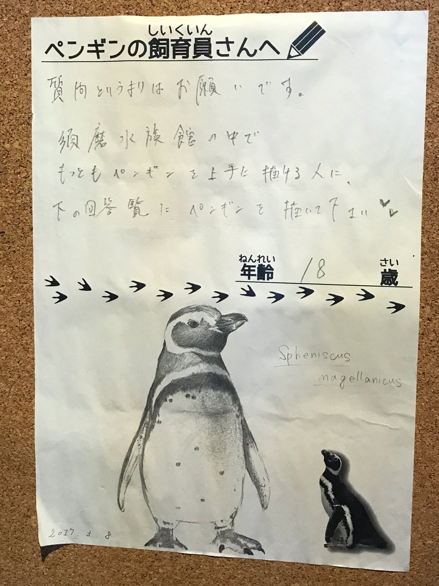 【須磨海浜水族園】「一番上手な人がペンギンを描いてください」という要望に飼育員が本気モードになった結果・・・