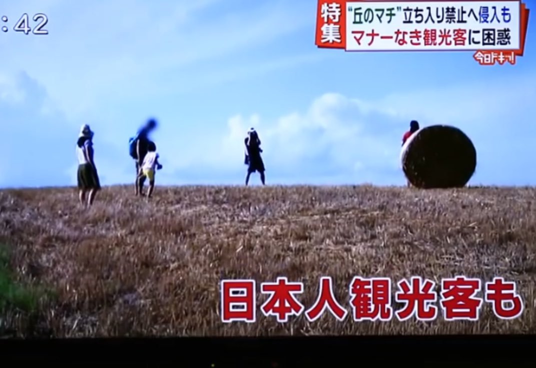 【丘のまち美瑛も被害に】北海道に旅行する人に絶対守って欲しいこと「牧草地や畑」に絶対入ってはいけません！