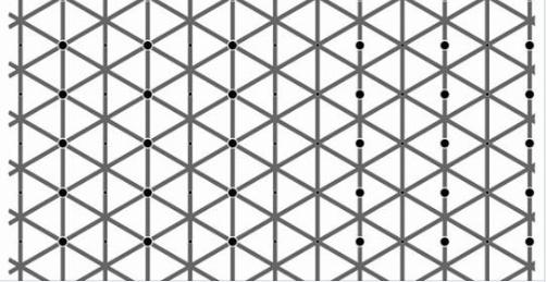 【錯視】左右対称に黒い点がありますが両方見えましたか？