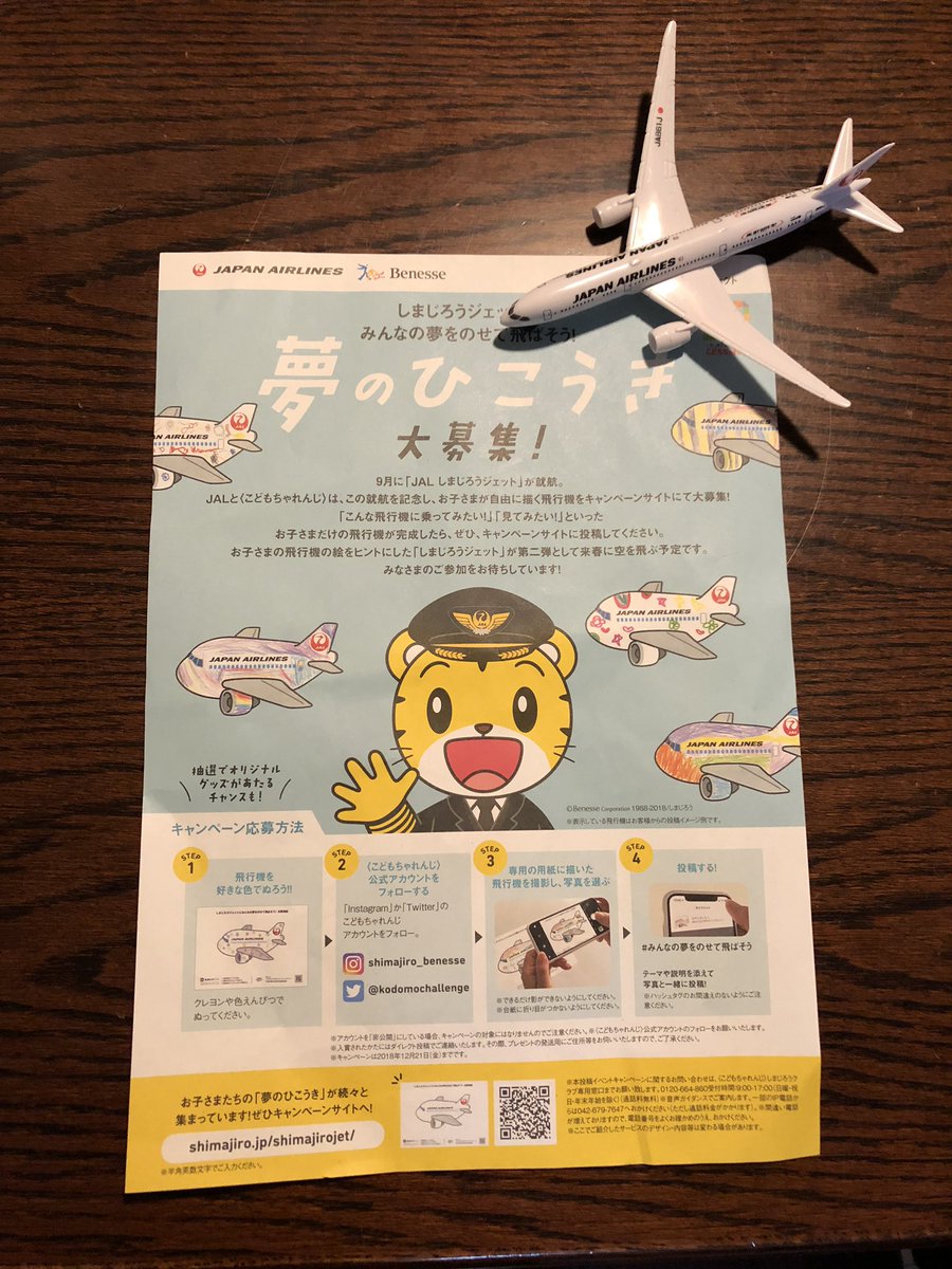 JAL職員「みなかったことにします」日本航空の塗り絵企画で珍事（笑