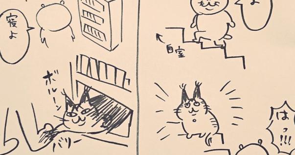 【殺意を持たれててもカワイイ】猟奇的な猫「てつ」との理不尽な戦いを描いた日記がシュールで面白すぎると話題に！【猫あるある】