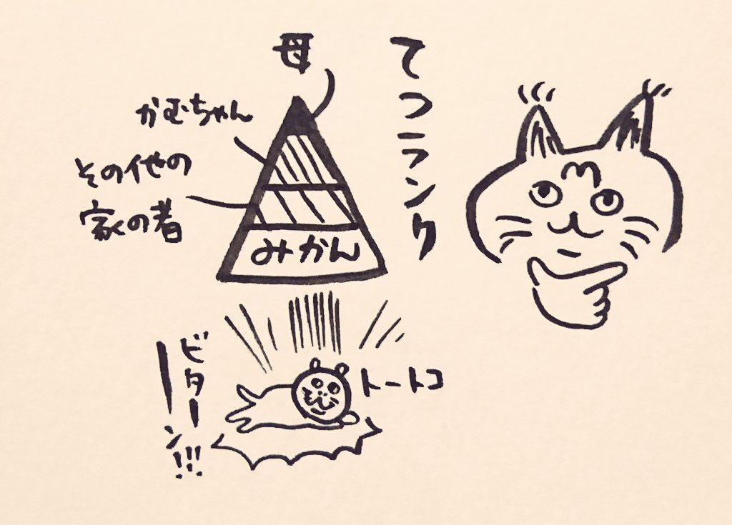 【殺意を持たれててもカワイイ】猟奇的な猫「てつ」との理不尽な戦いを描いた日記がシュールで面白すぎると話題に！【猫あるある】