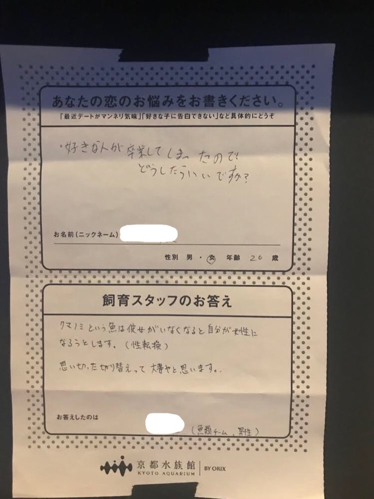 京都水族館が始めた恋愛相談コーナーで飼育スタッフの回答が面白すぎると話題に！