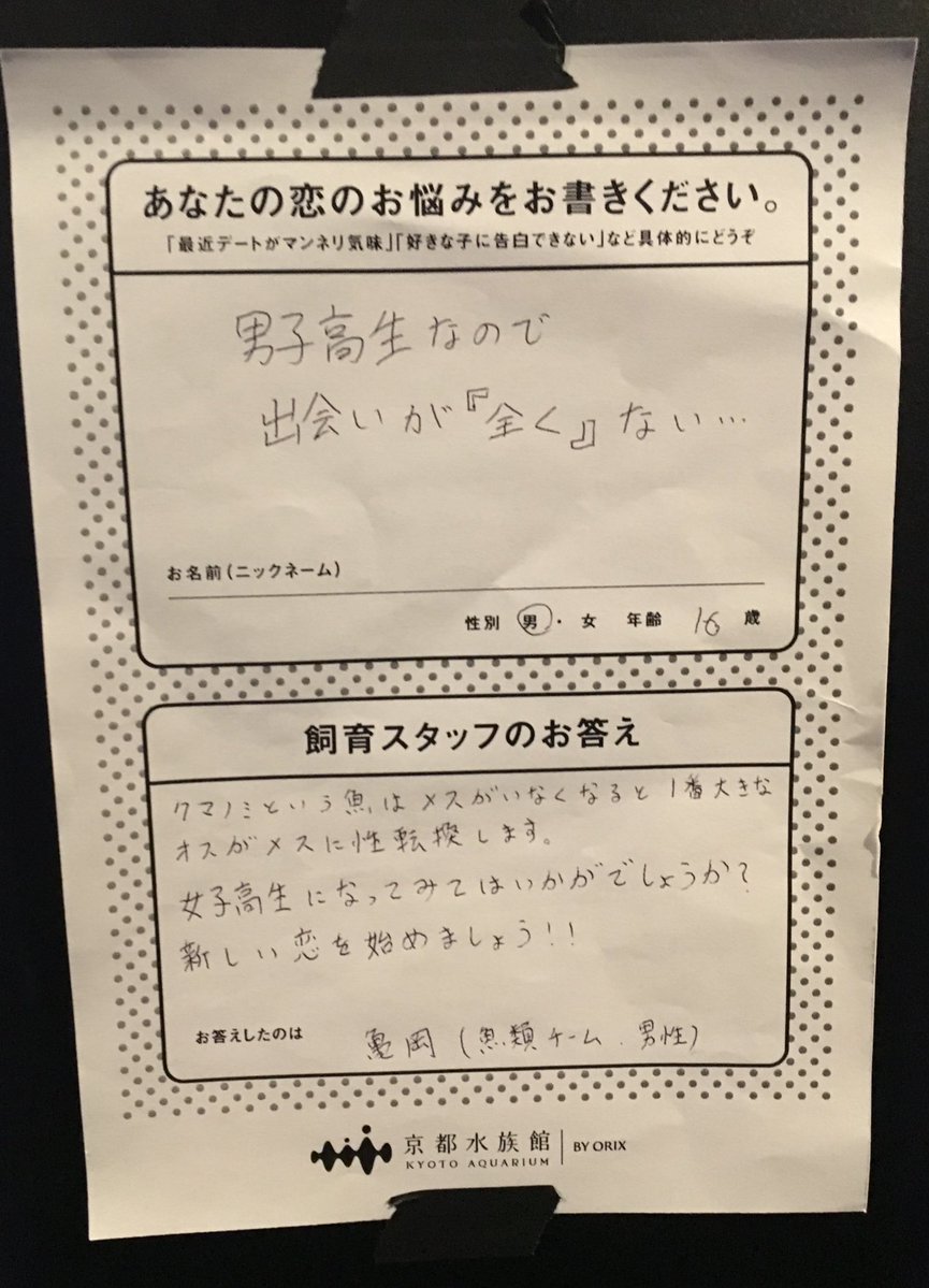 京都水族館が始めた恋愛相談コーナーで飼育スタッフの回答が面白すぎると話題に！