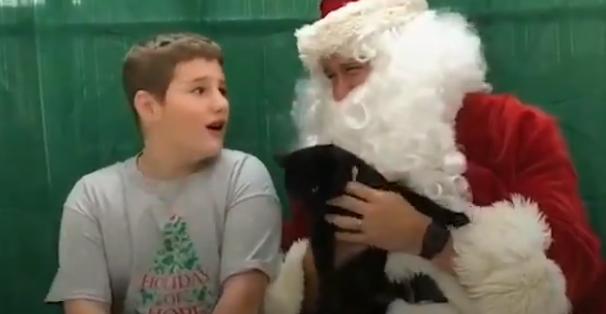 【絶対泣ける動画】犬猫シェルターでボランティアをしている男の子がクリスマスプレゼントにもらったものに多くの人が感動！