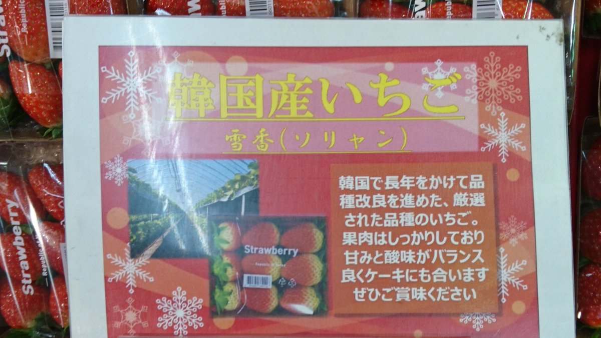 韓国が日本から盗んだ韓国産いちご「雪香」をイオンが逆輸入！