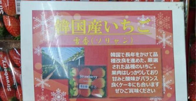 韓国が日本から盗んだ韓国産いちご「雪香」をイオンが逆輸入！