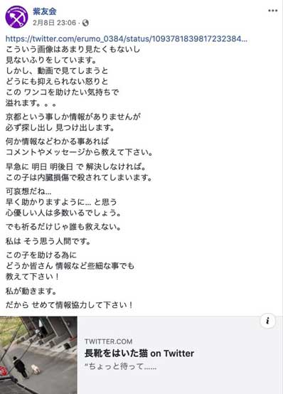 動物保護団体「紫友会」による零(レイ)ちゃん保護までの流れ