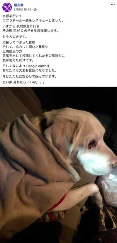 動物保護団体「紫友会」による零(レイ)ちゃん保護までの流れ