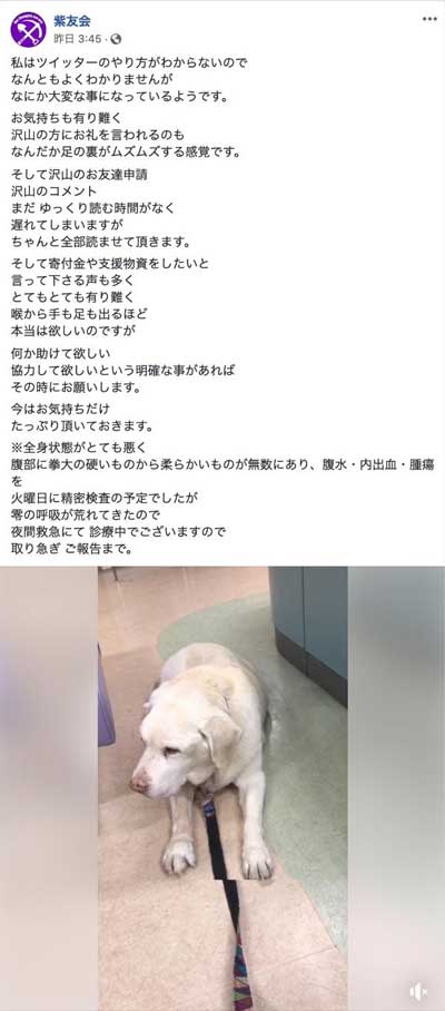動物保護団体「紫友会」による零(レイ)ちゃん保護までの流れ