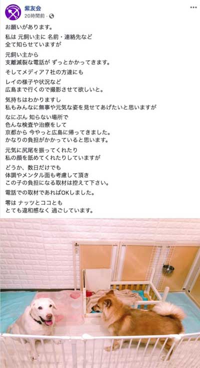 動物保護団体「紫友会」による零(レイ)ちゃん保護までの流れ