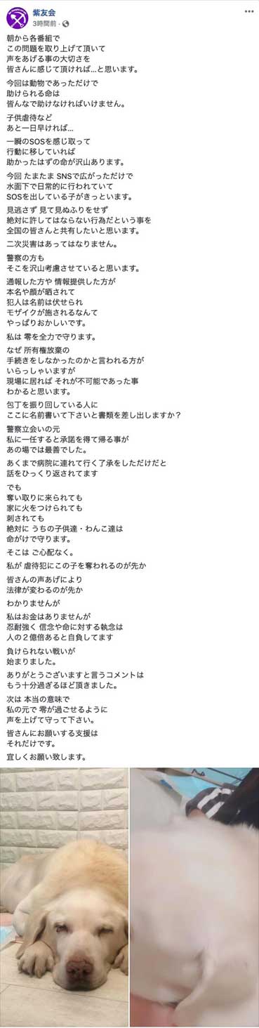 動物保護団体「紫友会」による零(レイ)ちゃん保護までの流れ