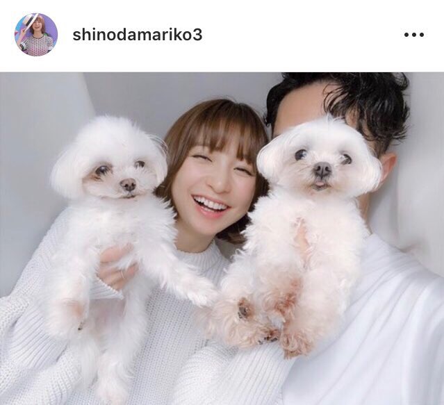 篠田麻里子さんの結婚相手はIT事業家で仮想通貨やFXトレーダーの「FX中級者」氏か!?