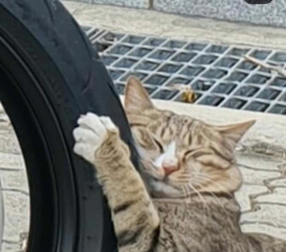 【衝撃】愛車のバイクにイタズラしてる凶悪犯をその場で逮捕!