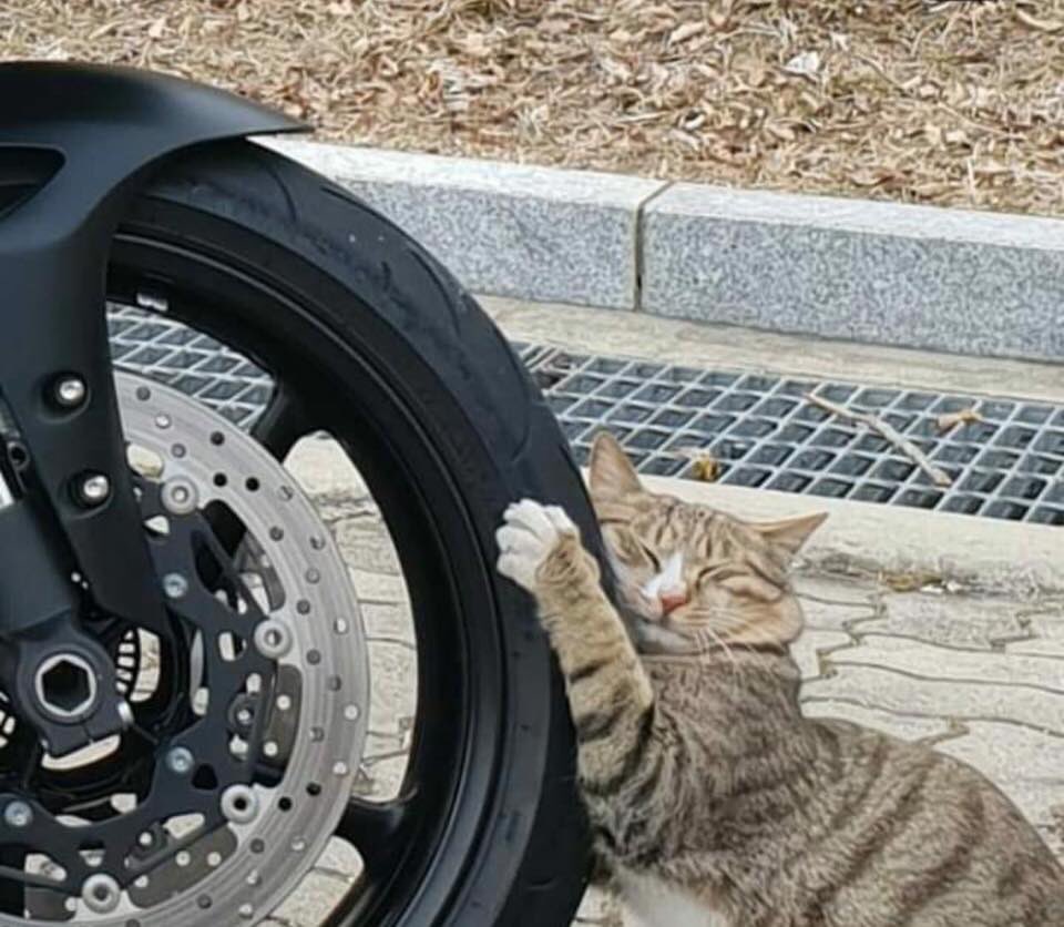 【衝撃】愛車のバイクにイタズラしてる凶悪犯をその場で逮捕!