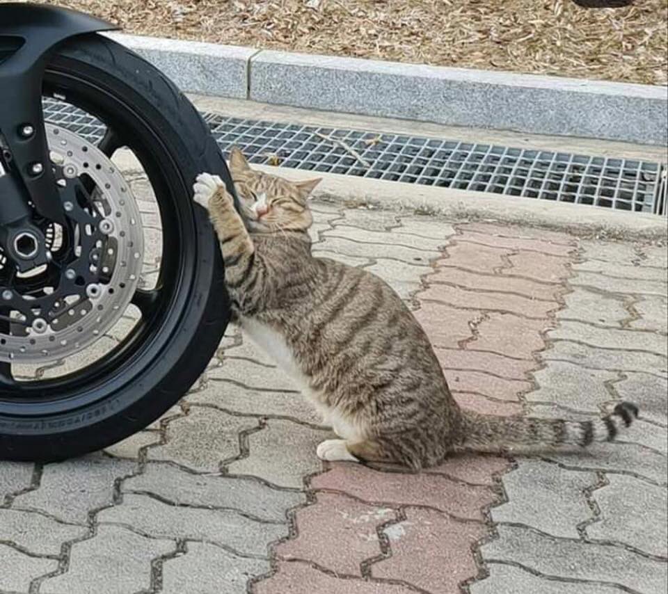 【衝撃】愛車のバイクにイタズラしてる凶悪犯をその場で逮捕!