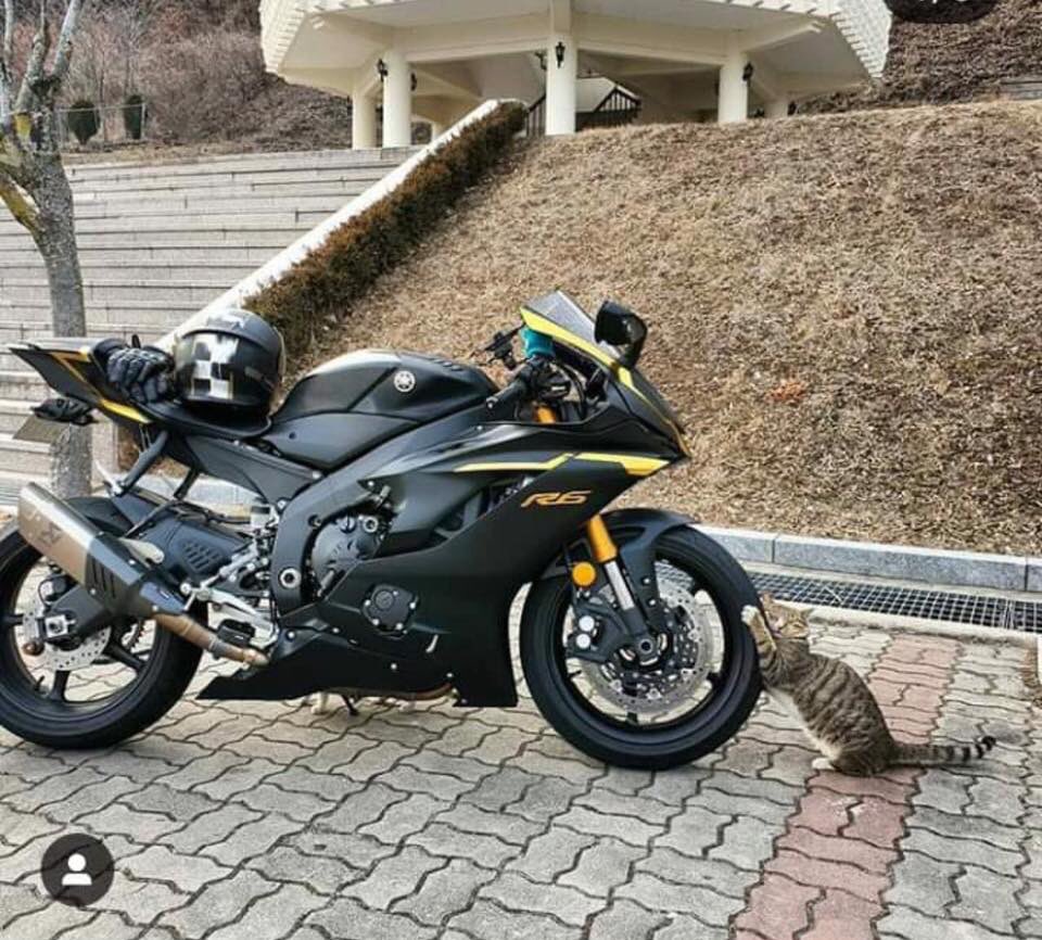 【衝撃】愛車のバイクにイタズラしてる凶悪犯をその場で逮捕!