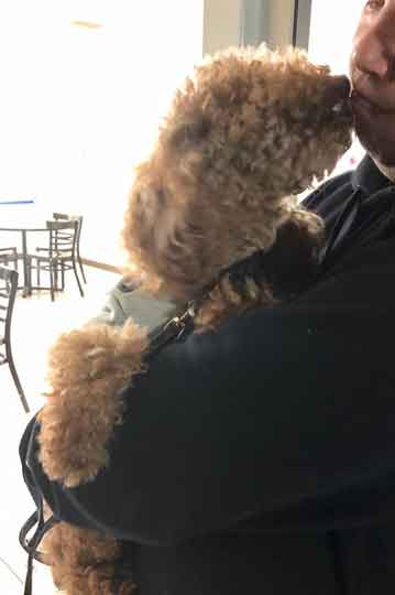 武居知未が虐待していたトイプードル犬の青ちゃんが無事保護!福島アダプトネットワークにより