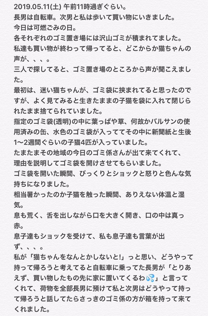 【絶対に許せない!】子猫を生きたまま袋に密封してゴミ箱に捨てた奴がいた