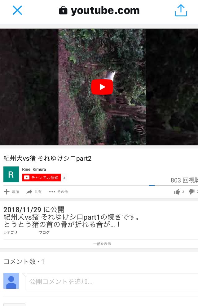 【動画】紀州犬で他人の飼い犬を襲わせる許せない映像が炎上!愛知県在住の飼い主の名前や顔画像は?