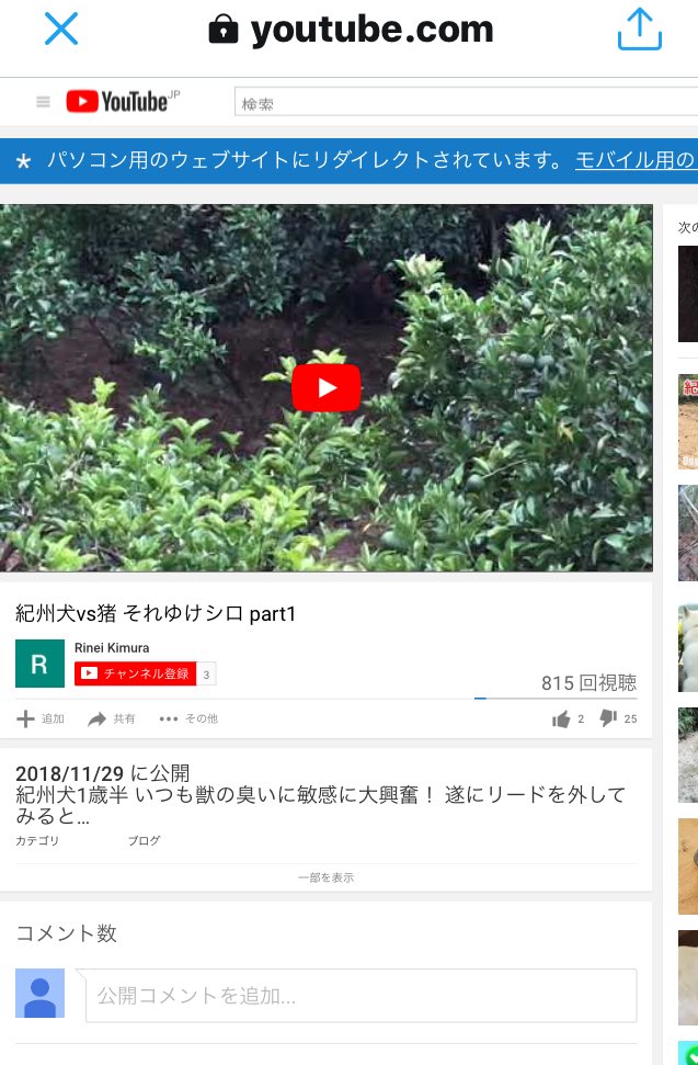 【動画】紀州犬で他人の飼い犬を襲わせる許せない映像が炎上!愛知県在住の飼い主の名前や顔画像は?