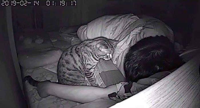 熟睡できず悩んでいた男性、監視カメラ設置で「猫が原因」と判明！