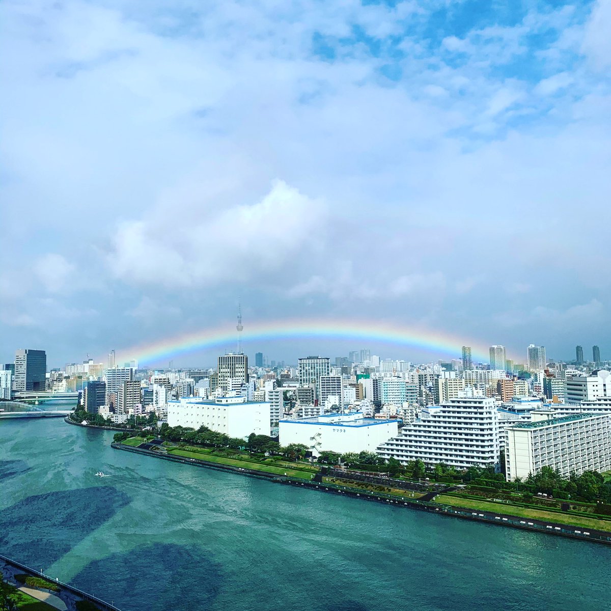 天皇陛下の即位礼正殿の儀の30分前に急に日が差し東京の街が虹色に！ネットの声「リアル天気の子」