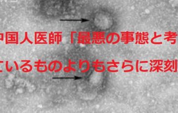 すべての美しい花の画像 最高の面白い スマホ 見 過ぎ 壁紙