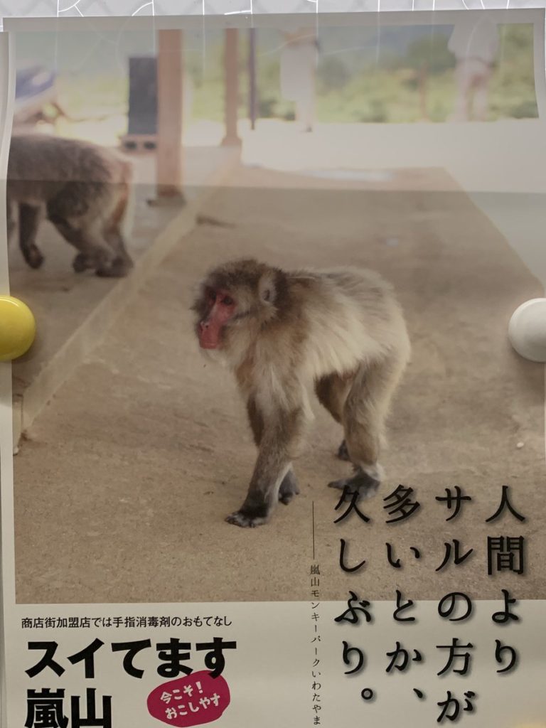 「スイてます嵐山」コロナウイルスで外国人観光客が激減した京都が遂に開き直る
