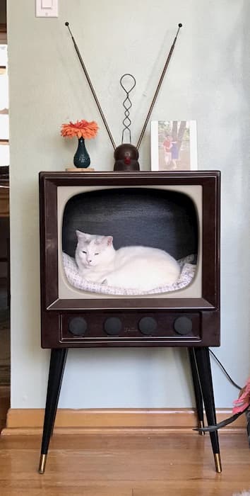 古いブラウン管のテレビを利用した猫の家が可愛すぎると話題に！
