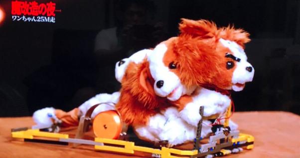 トヨタの技術者がワンちゃんのおもちゃを魔改造して「魔獣キングスパニエル」として走らせるNHK BSの「魔改造の夜」が面白すぎる！【動画有】