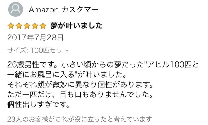 Amazonでの「かわいい ピヨピヨ アヒルちゃん100個セット」の商品説明が面白くて買いたくなる！