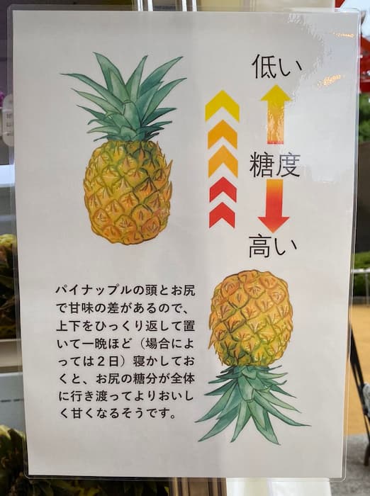 台湾パイナップルの叡智を世界に捧げる。