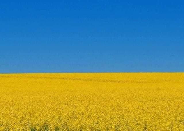 ウクライナの国旗の色がこの景色から来た